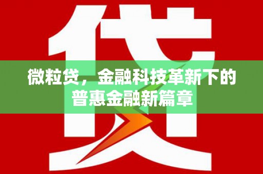 禅城微粒贷，金融科技革新下的普惠金融新篇章