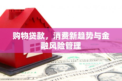 禅城购物贷款，消费新趋势与金融风险管理
