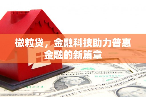 禅城微粒贷，金融科技助力普惠金融的新篇章
