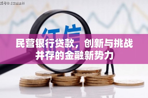 禅城民营银行贷款，创新与挑战并存的金融新势力