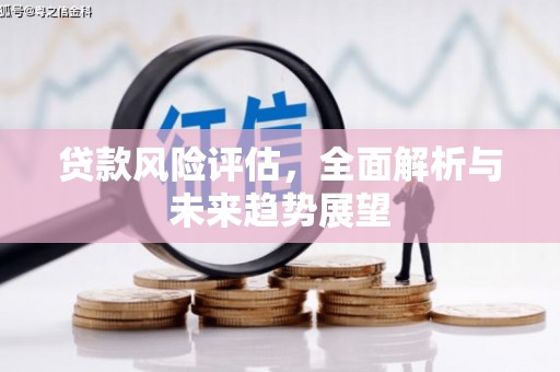 禅城贷款风险评估，全面解析与未来趋势展望