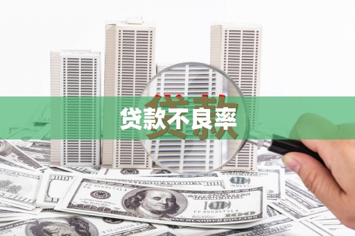 禅城贷款不良率