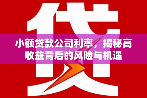 禅城小额贷款公司利率，揭秘高收益背后的风险与机遇