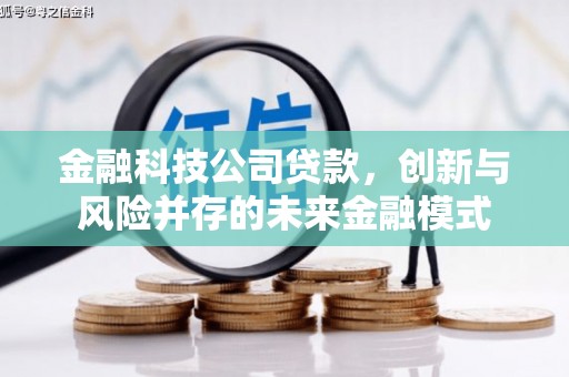 禅城金融科技公司贷款，创新与风险并存的未来金融模式
