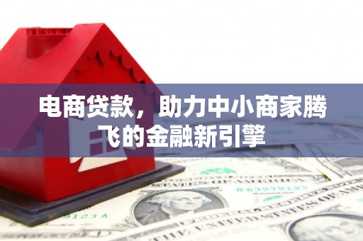 禅城电商贷款，助力中小商家腾飞的金融新引擎