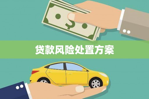 禅城贷款风险处置方案