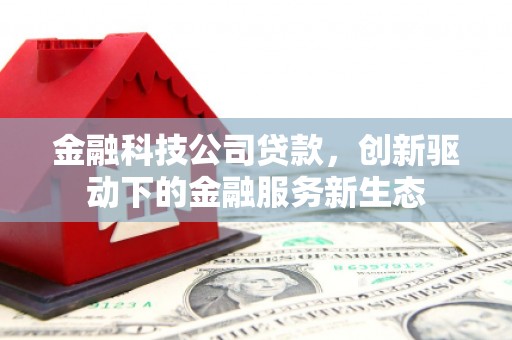 禅城金融科技公司贷款，创新驱动下的金融服务新生态