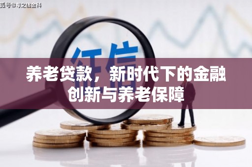 禅城养老贷款，新时代下的金融创新与养老保障