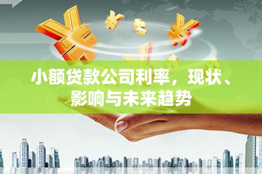 禅城小额贷款公司利率，现状、影响与未来趋势