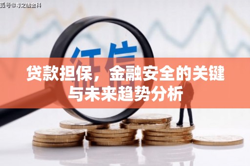 禅城贷款担保，金融安全的关键与未来趋势分析