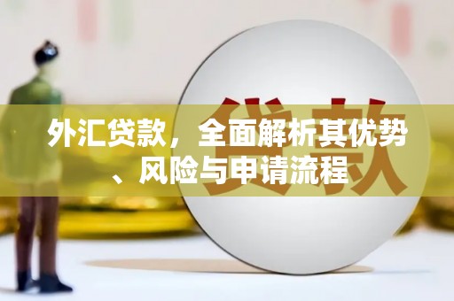 禅城外汇贷款，全面解析其优势、风险与申请流程