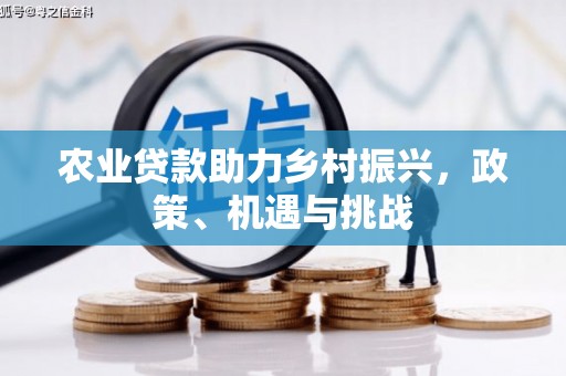 禅城农业贷款助力乡村振兴，政策、机遇与挑战