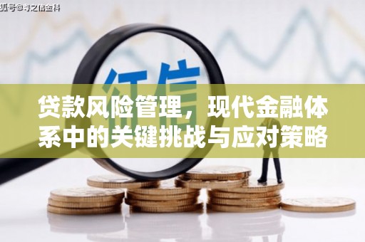 禅城贷款风险管理，现代金融体系中的关键挑战与应对策略