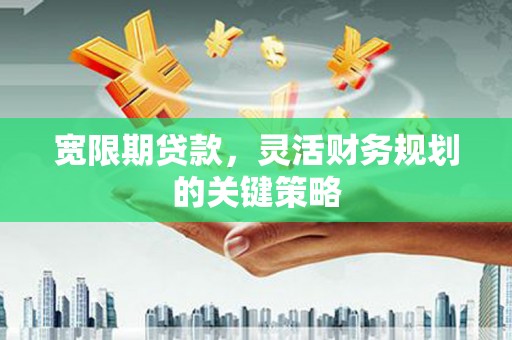 禅城宽限期贷款，灵活财务规划的关键策略