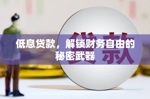 禅城低息贷款，解锁财务自由的秘密武器
