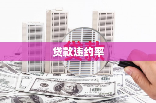 禅城贷款违约率