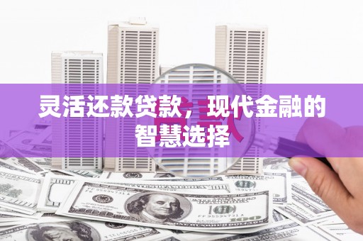 禅城灵活还款贷款，现代金融的智慧选择