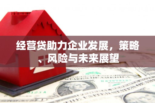 禅城经营贷助力企业发展，策略、风险与未来展望