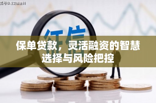 禅城保单贷款，灵活融资的智慧选择与风险把控
