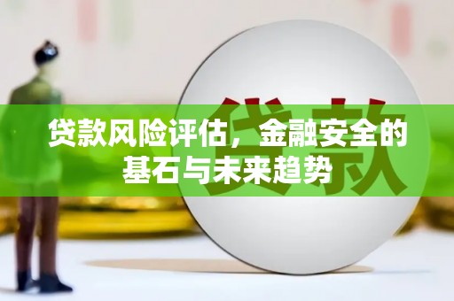 禅城贷款风险评估，金融安全的基石与未来趋势