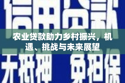 禅城农业贷款助力乡村振兴，机遇、挑战与未来展望