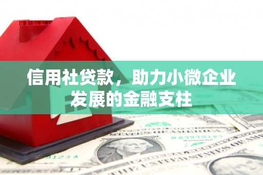 禅城信用社贷款，助力小微企业发展的金融支柱