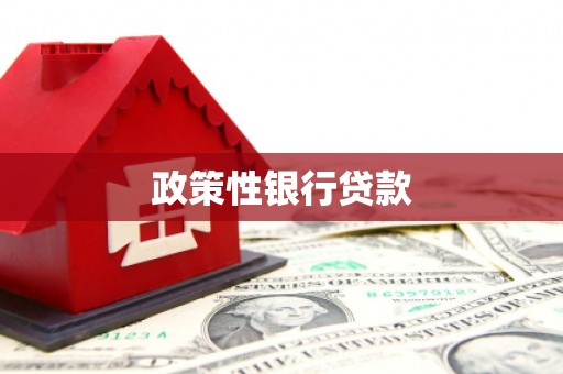 禅城政策性银行贷款