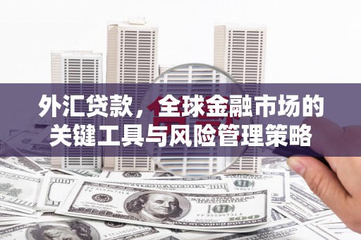 禅城外汇贷款，全球金融市场的关键工具与风险管理策略