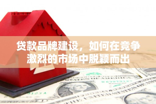 禅城贷款品牌建设，如何在竞争激烈的市场中脱颖而出