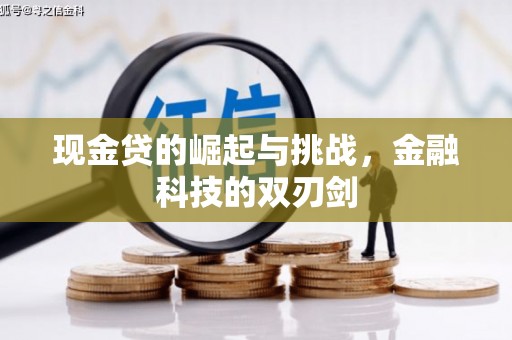 禅城现金贷的崛起与挑战，金融科技的双刃剑