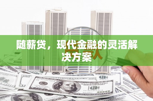 禅城随薪贷，现代金融的灵活解决方案