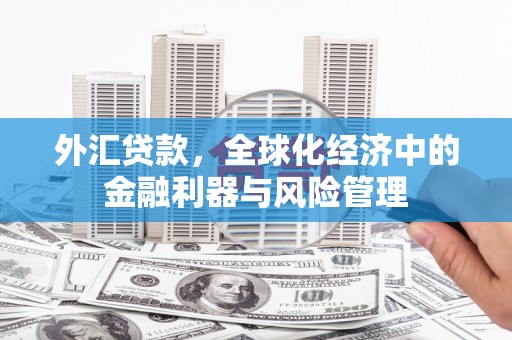 禅城外汇贷款，全球化经济中的金融利器与风险管理