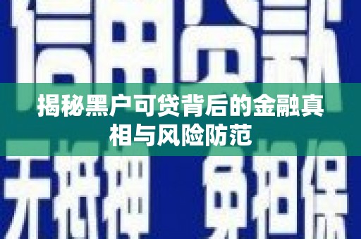 禅城揭秘黑户可贷背后的金融真相与风险防范
