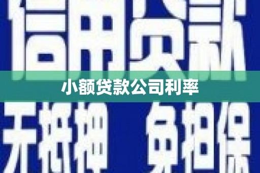 禅城小额贷款公司利率