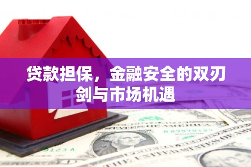禅城贷款担保，金融安全的双刃剑与市场机遇