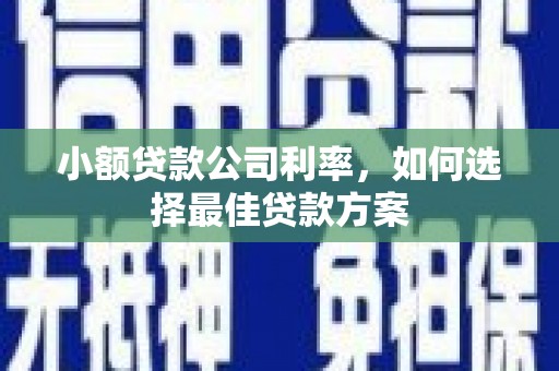 禅城小额贷款公司利率，如何选择最佳贷款方案