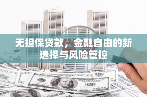 禅城无担保贷款，金融自由的新选择与风险管控