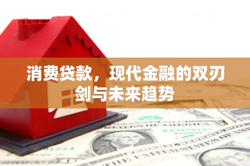 禅城消费贷款，现代金融的双刃剑与未来趋势