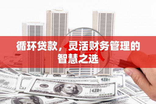 禅城循环贷款，灵活财务管理的智慧之选