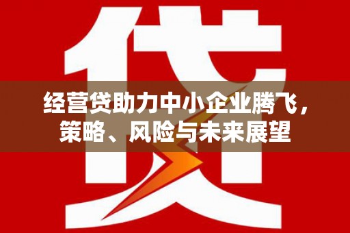 禅城经营贷助力中小企业腾飞，策略、风险与未来展望