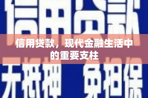 禅城信用贷款，现代金融生活中的重要支柱