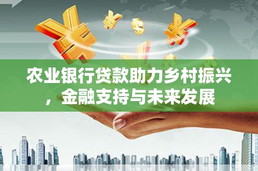 禅城农业银行贷款助力乡村振兴，金融支持与未来发展
