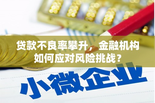 禅城贷款不良率攀升，金融机构如何应对风险挑战？