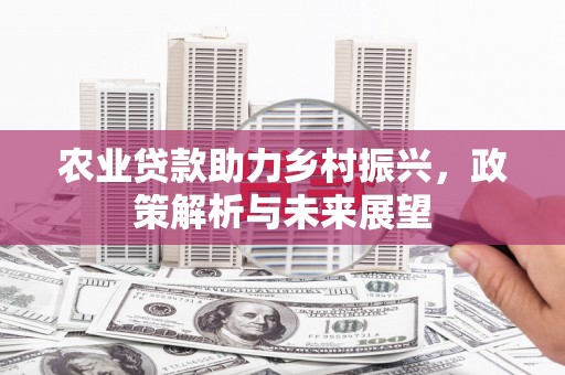 禅城农业贷款助力乡村振兴，政策解析与未来展望