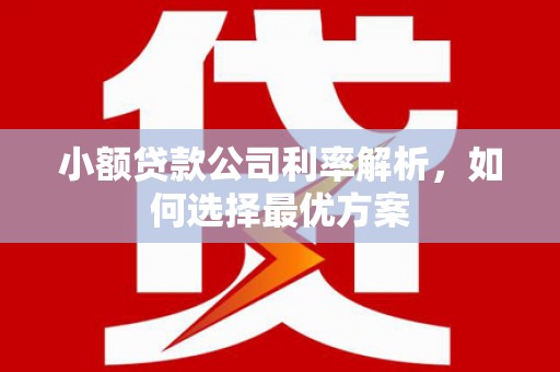 禅城小额贷款公司利率解析，如何选择最优方案