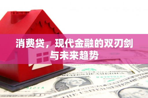 禅城消费贷，现代金融的双刃剑与未来趋势