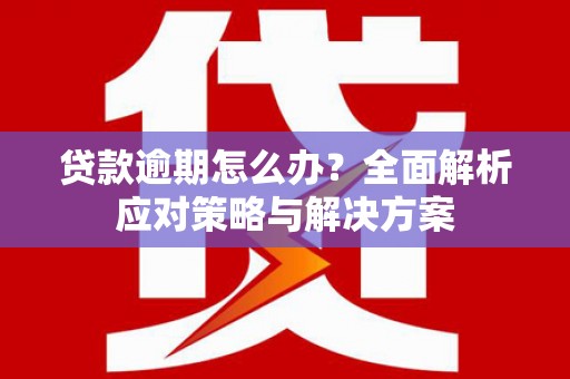 禅城贷款逾期怎么办？全面解析应对策略与解决方案