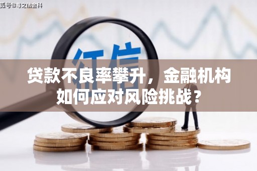 禅城贷款不良率攀升，金融机构如何应对风险挑战？