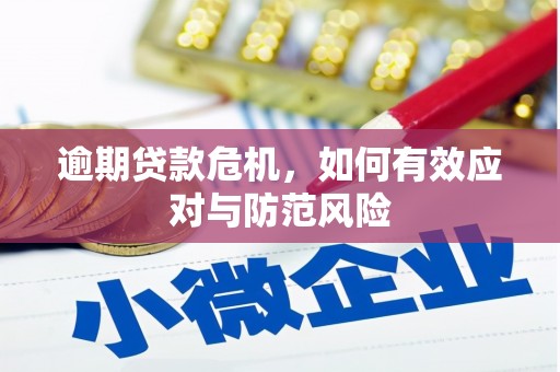 禅城逾期贷款危机，如何有效应对与防范风险