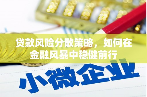 禅城贷款风险分散策略，如何在金融风暴中稳健前行